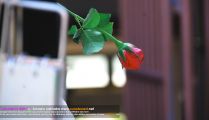Jaturamitr 25th - Opening by LL�Ƿ��ŷ��� 1-II-�